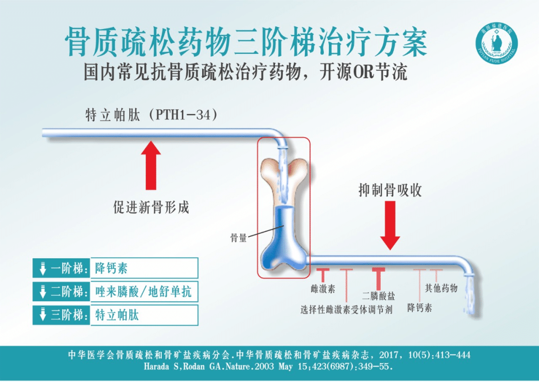 骨质疏松可防可治