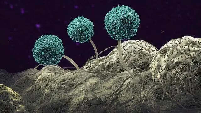 换季过敏高发？福德医院提供最全过敏原检测 