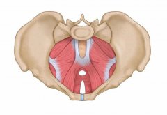 【福德康复】关注盆底健康，守护幸福“底”线
